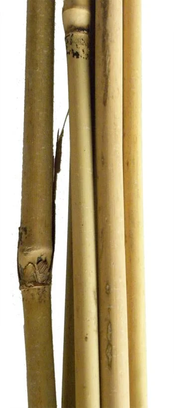 Floraworld Plantenstok Bamboe 120cm 8/10mm set 10st