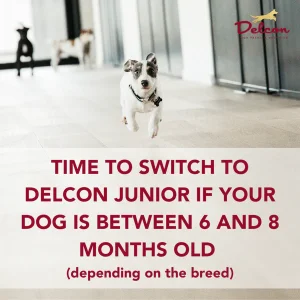 Delcon Puppy 12kg