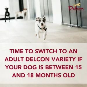 Delcon Junior 12kg