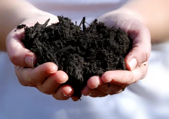 Groencompost - Los gestort geleverd