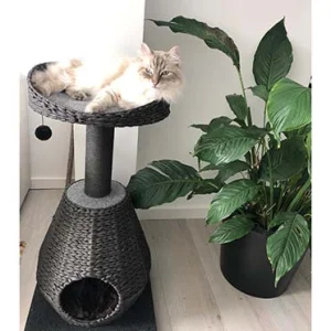 Krabpaal trend tree elegance sublime zwart
