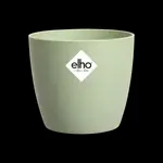 brussels rond 14cm sorbet groen