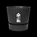 greenville round 20cm living black