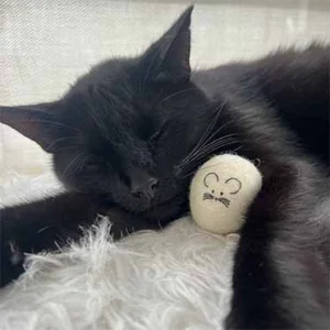 Vilten kattenballetje gemengde kleuren