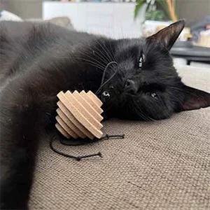 Yori vilten kattenspeeltje gemengde kleuren