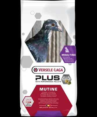 Mutine plus 20kg