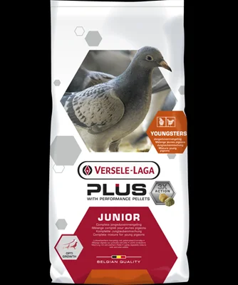 Junior plus 20kg