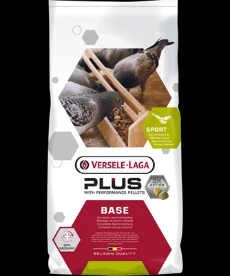 Base plus 20kg