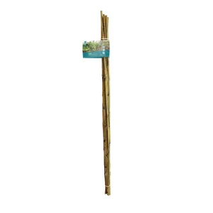 Sogo bamboestok 120cm 10/12 10st