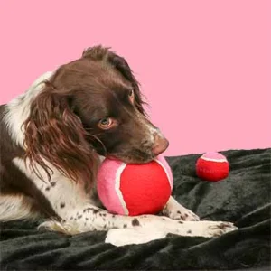 Tennisbal CHASE ME XL - 12,7cm rood/roze