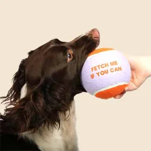 Tennisbal FETCH ME XL - 12,7cm paars/oranje