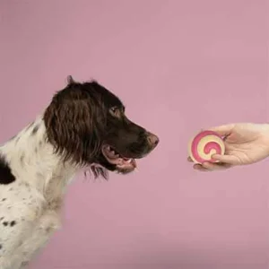Hondenspeeltje BERRY SWIRL 7,5cm roze/beige