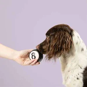Snackbal EIGHT 8cm zwart/wit
