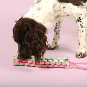 Hondenspeeltje TWISTING TUGGER 45x4,5x4,5cm groen/roze