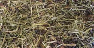 D' Hooghe Vital Fibre GRAIN FREE 15 kg