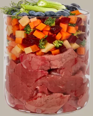 Terra Canis Ragout Kip, Zoete Aardappel & Rozemarijn 385g