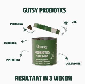 GUTSY PROBIOTICS SUPPLEMENT 200G