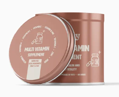 GUTSY MULTVITAMIN SUPPLEMENT 200G