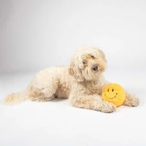  Knuffelspeeltje GIGGLY GARY 12cm geel