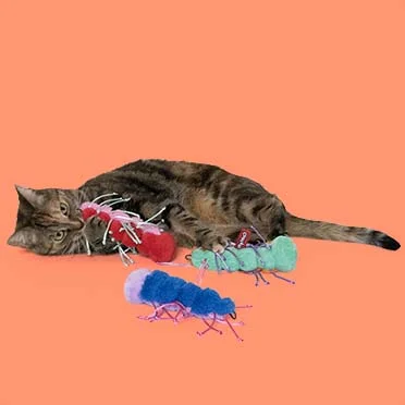 Kattenspeeltje RAZZLE RUBY