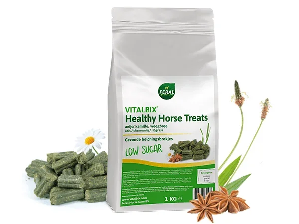 Vitalbix Healthy Horse Treats Anijs 1 kg