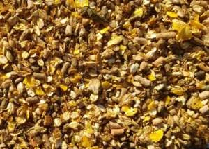 D' Hooghe Classix 20 kg+3kg gratis