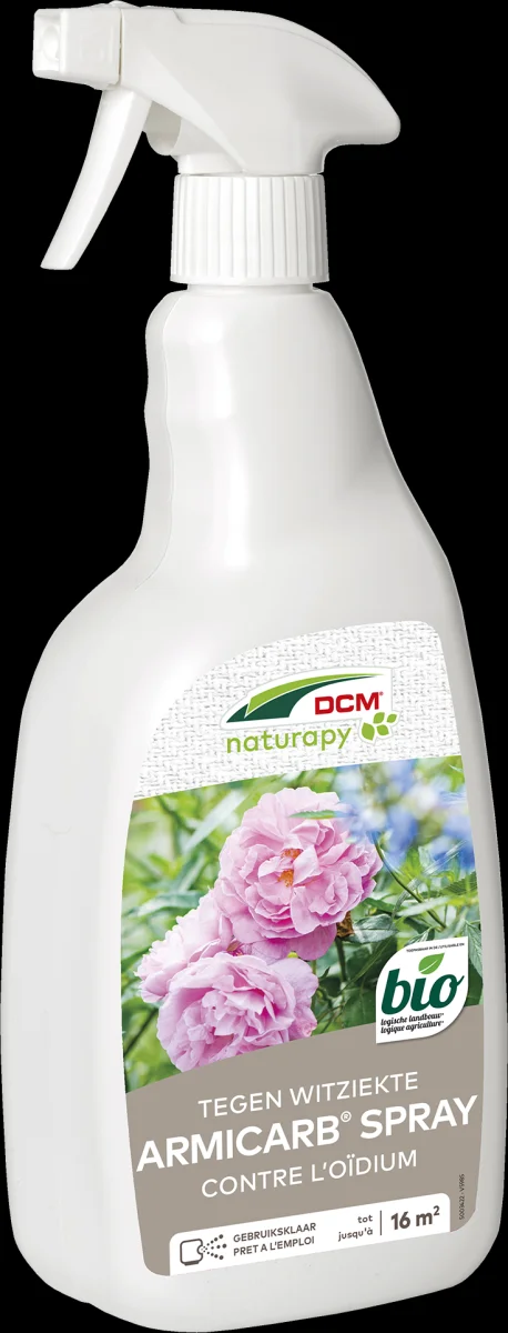 DCM ARMICARB SPRAY 1L