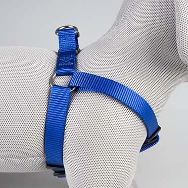 Harnas Step in Fashion blauw