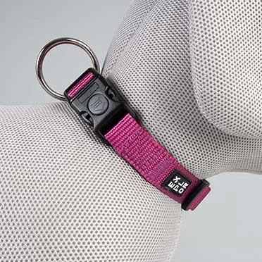 Halsband fashion Fuchsia