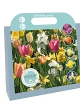 X 1 TAS 25 EYE-CATCHERS - BLOOMY GARDEN I