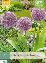 X   1 ALLIUM PARTY BALLOONS 16/18