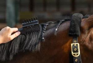 Manenkam Competition zwart