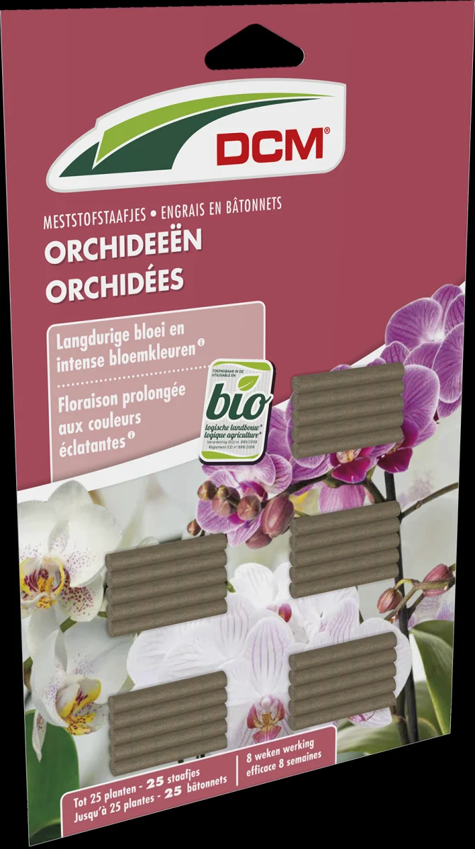 DCM STAAF ORCHIDEEËN