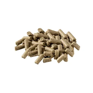 Pavo Podo Grow Z20