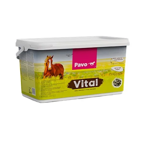 Pavo Vital Bucket 8kg (Z8) international
