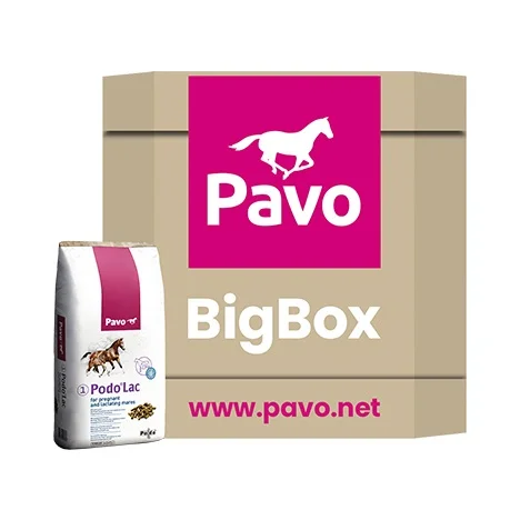 Pavo Basic+ Big Box 725