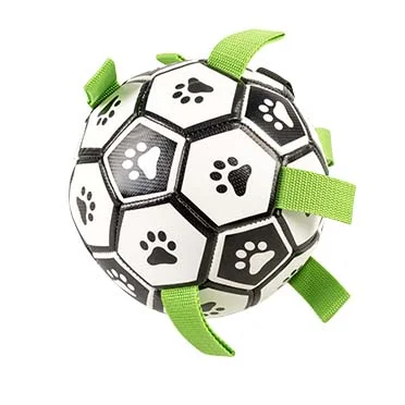 Pet Football 15x15x15cm Meerkleurig