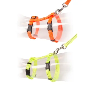 GROTE KAT WANDELSET REFLECTEREND 