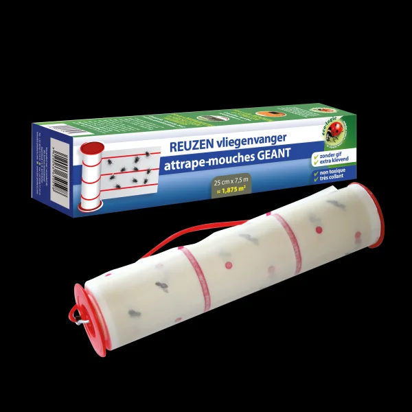 Reuzen-Vliegenvanger