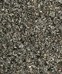 Sunflower seeds 1,5kg