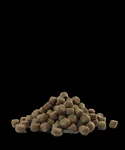 Opti life PRIME Adult Salmon 12,5kg