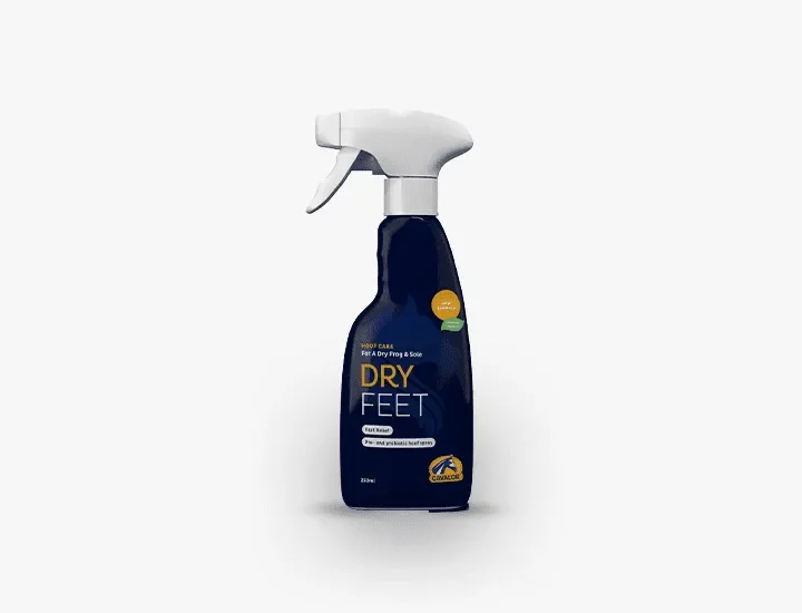 Dry Feet Natural 250ml