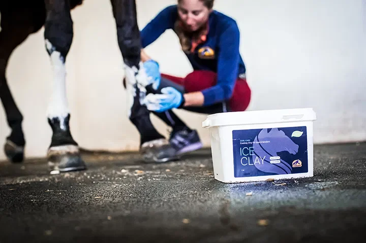 Ice Clay4kg