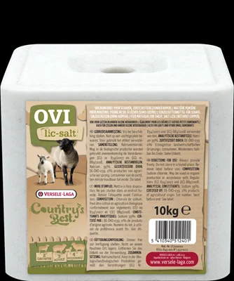 Zoutliksteen 10kg