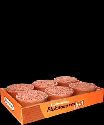 Pickstone red tray 5 + 1  3,6kg