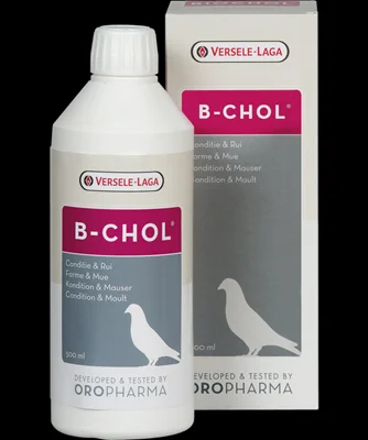 B-Chol 500ml
