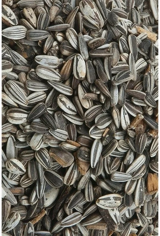 Zonnebloempitten - Gestreept 12,5kg