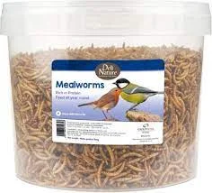 MEELWORMEN 700g