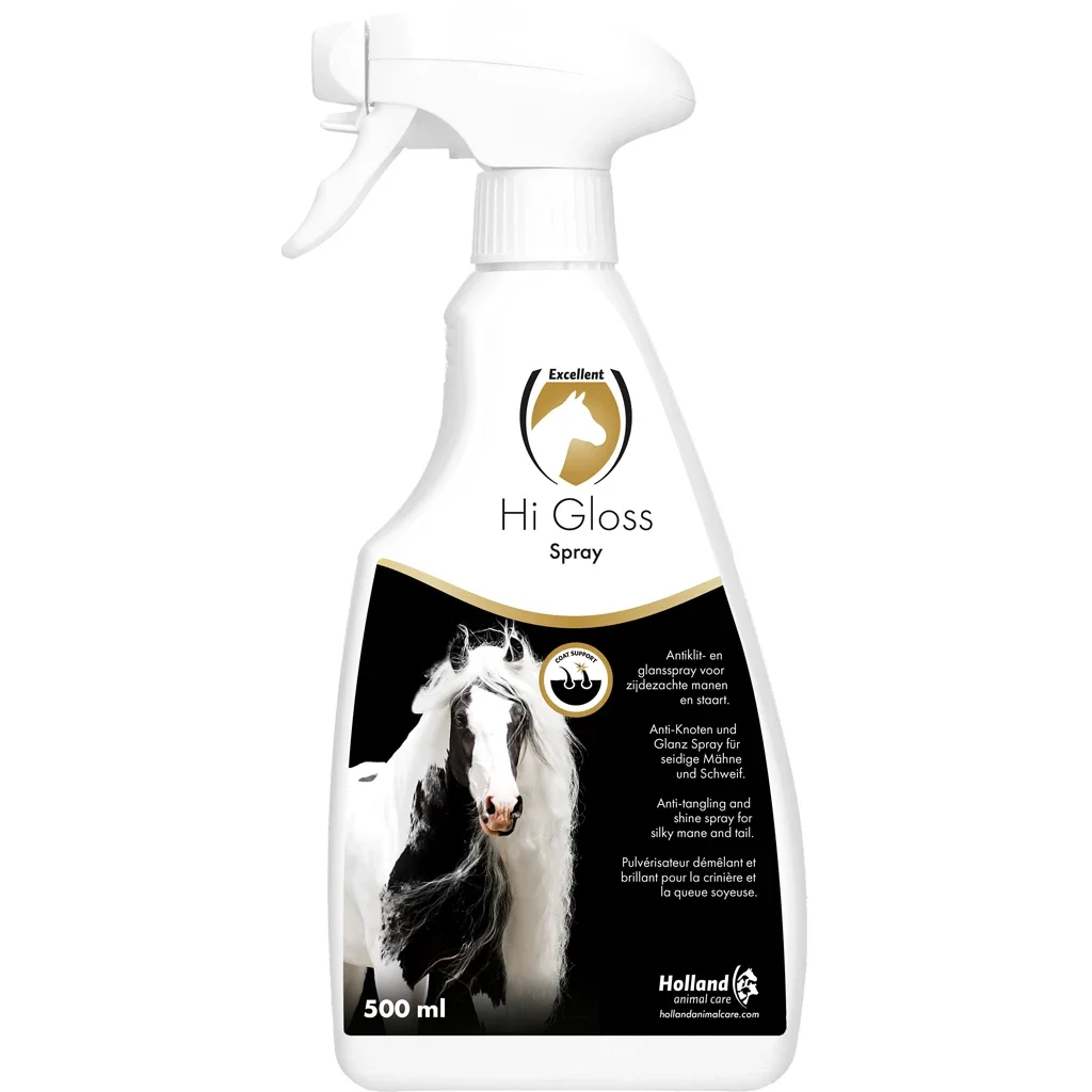 Hi Gloss Spray 500 ml 