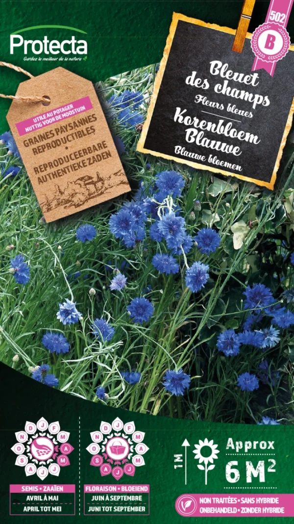 Korenbloem Blauwe